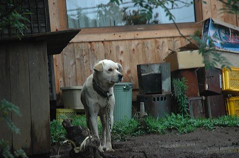 dsc_0309.jpg