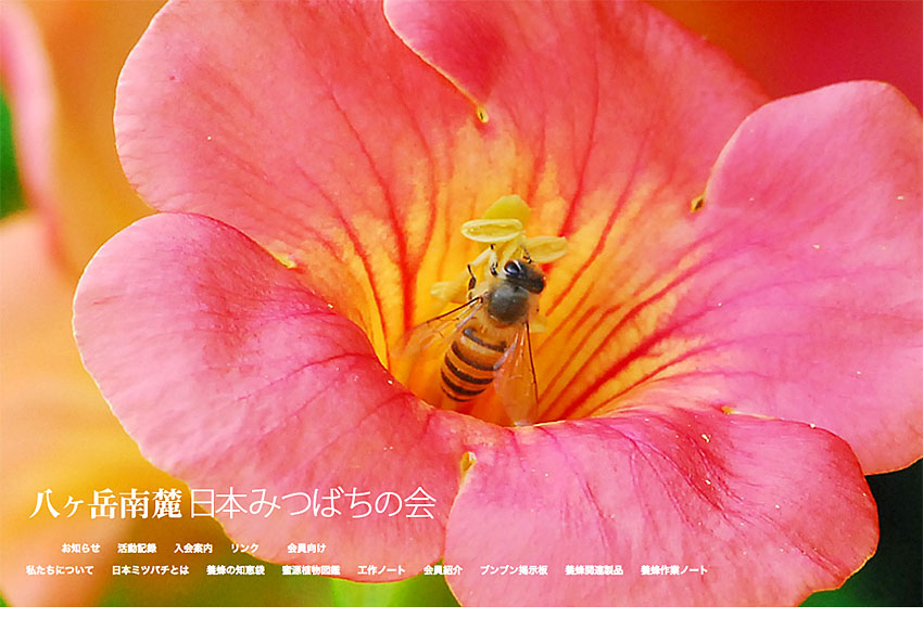 八ヶ岳南麓日本みつばちの会 モチドメデザイン事務所 モチドメデザイン事務所